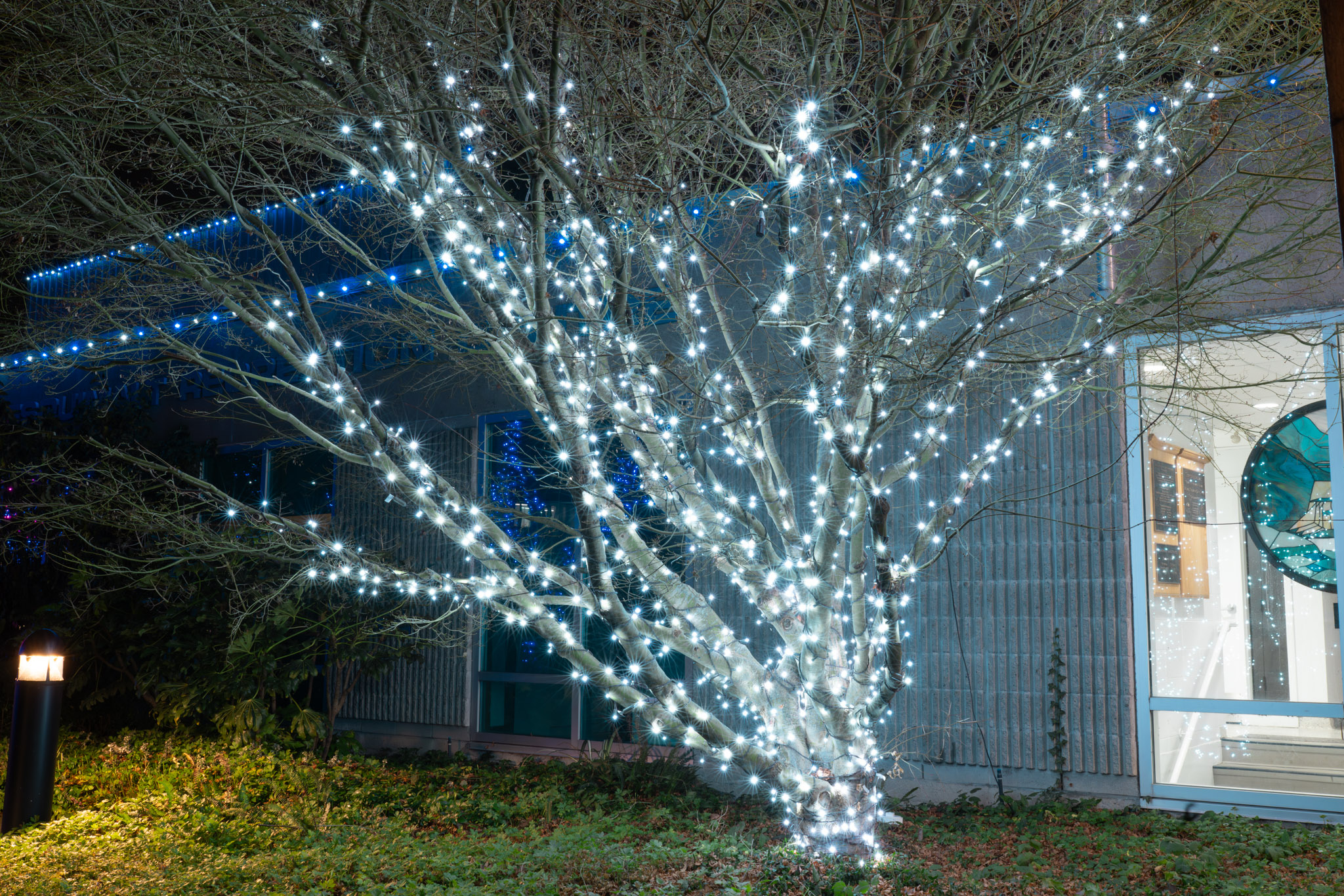 Commercial lighting installation: commercial lighting project 01