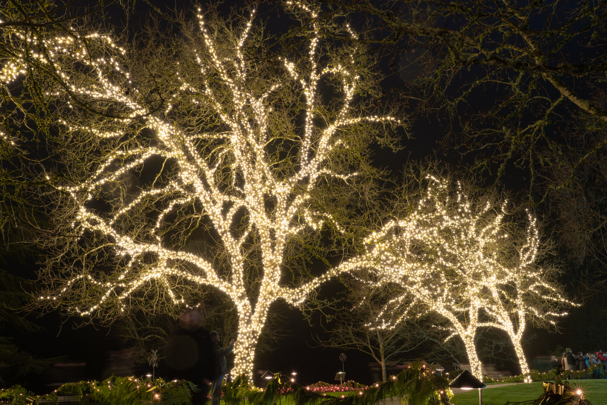 Commercial lighting installation: commercial lighting project 02