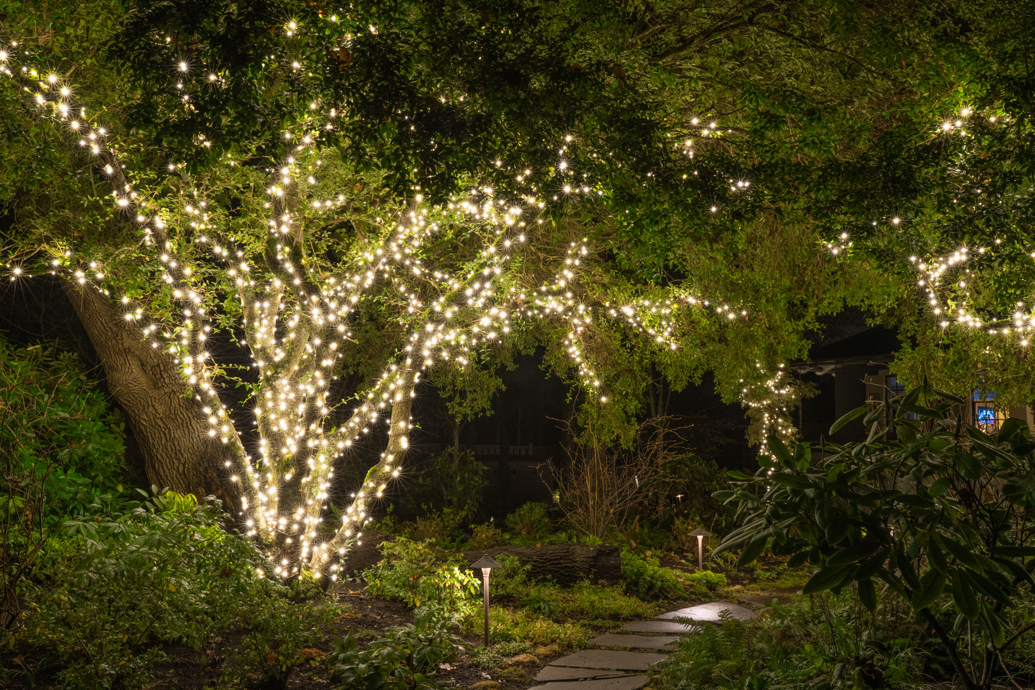 Residential lighting by Festilight