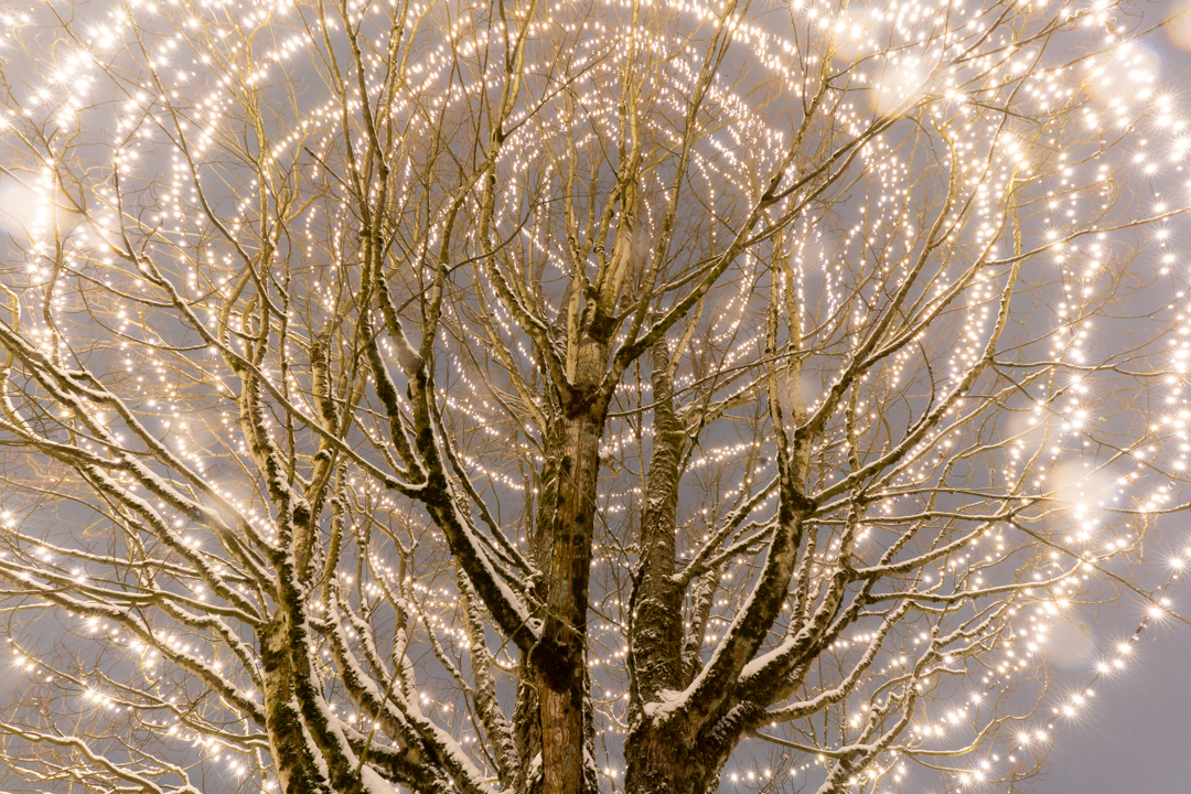 Commercial lighting installation: Commercial Christmas BVM 0578