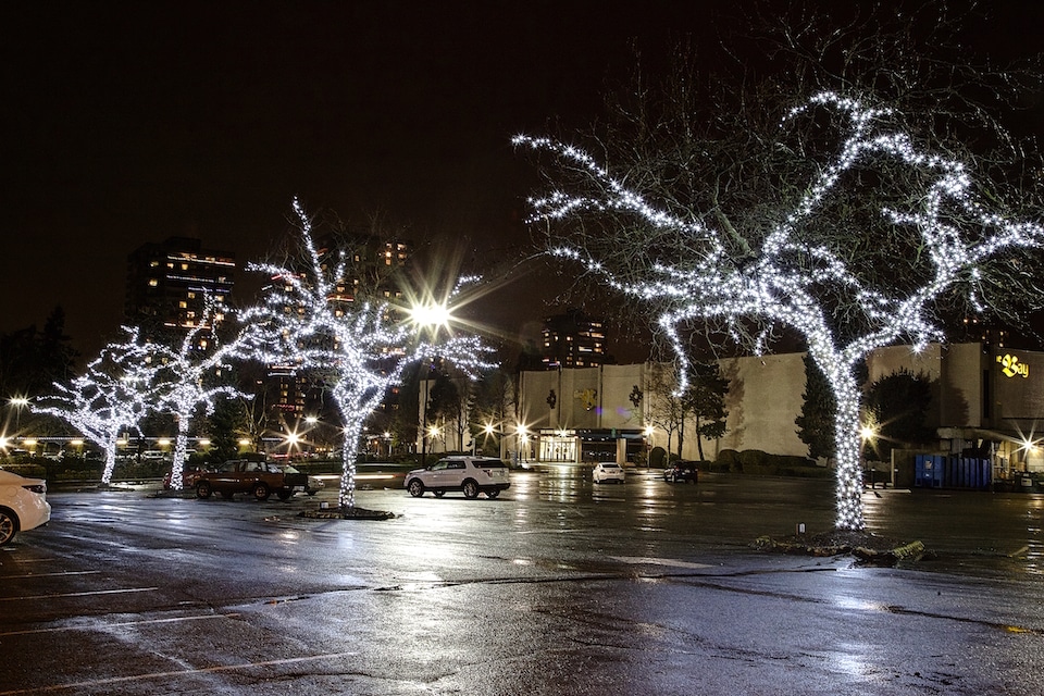 Commercial Christmas Lighting Installation - Pure White Tree Wraps