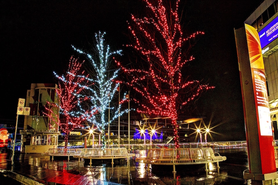Canada Place Trees Commercial Christmas Light Installation