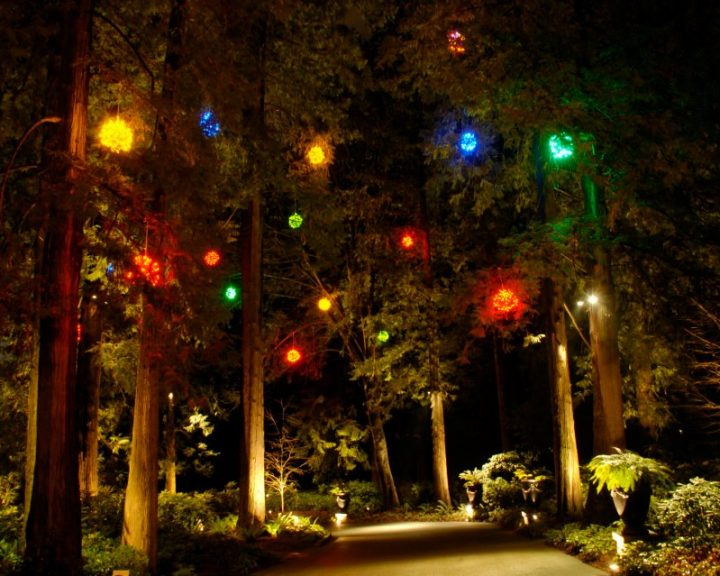Commercial Christmas Lights - Multicoloured Lighted Ornaments