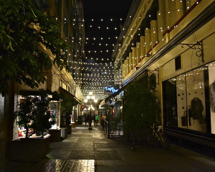 Commercial Christmas Lights - Warm White Super-Bright Globe Street Lighting