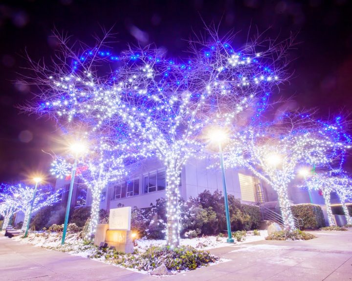 Commercial Tree Lights - Trunk and Branch Wrap Pure-white and Blue