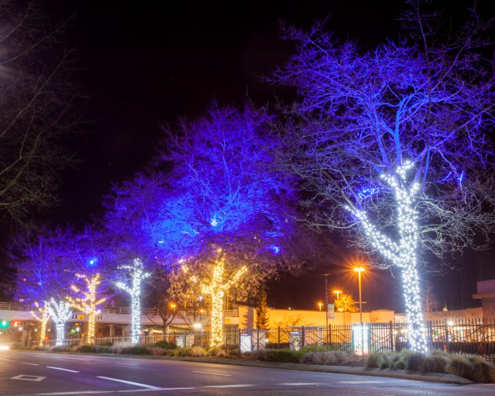 Cold and Warm White with Purple Christmas Tree Commercial Lighting Installation