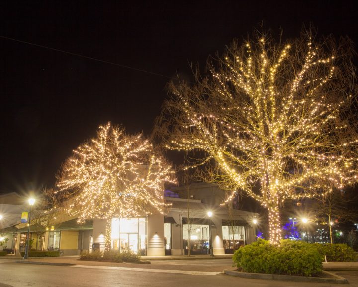 Warm White Tree and Branch Wrap Commercial Christmas Light Installation