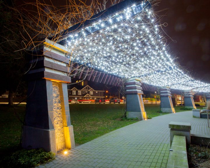 Pure White Canopy Commercial Christmas Lights