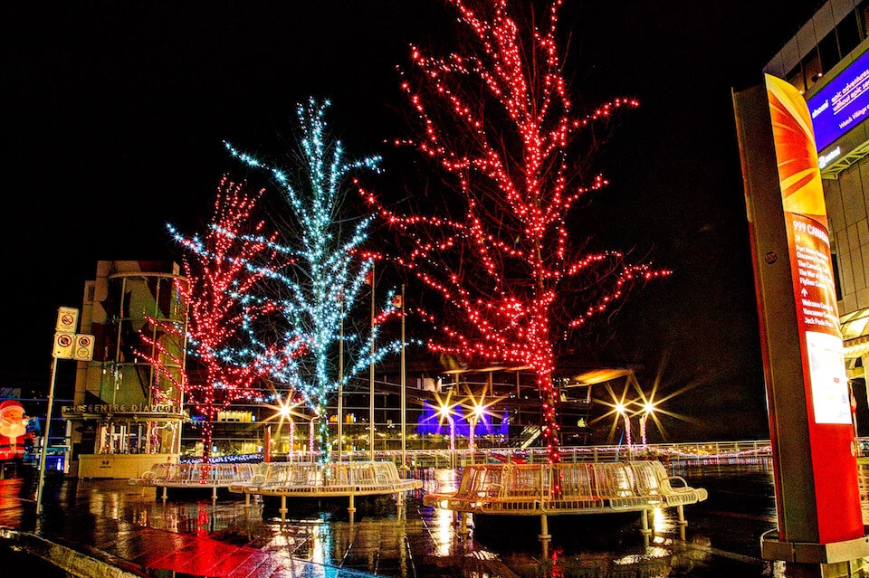 Canada Place Trees Commercial Christmas Light Installation