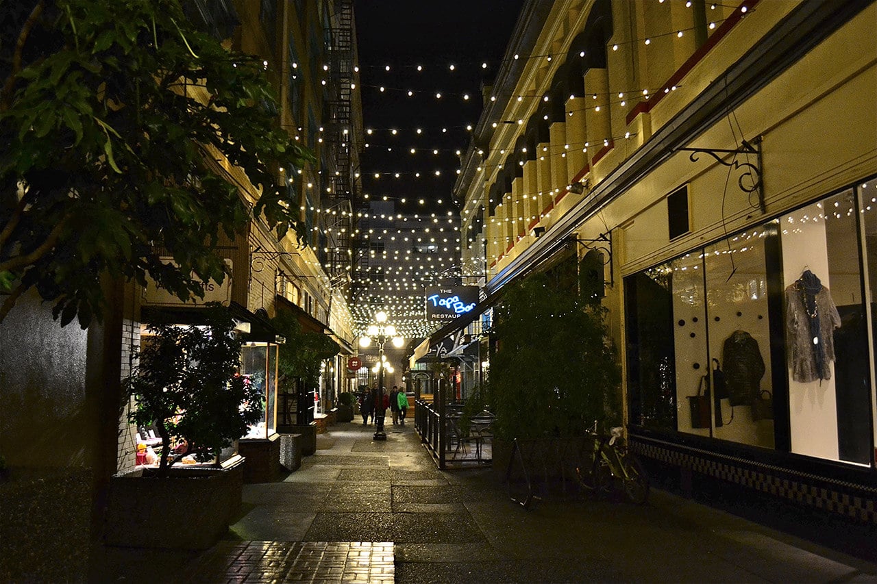 Commercial Christmas Lights - Warm White Super-Bright Globe Street Lighting