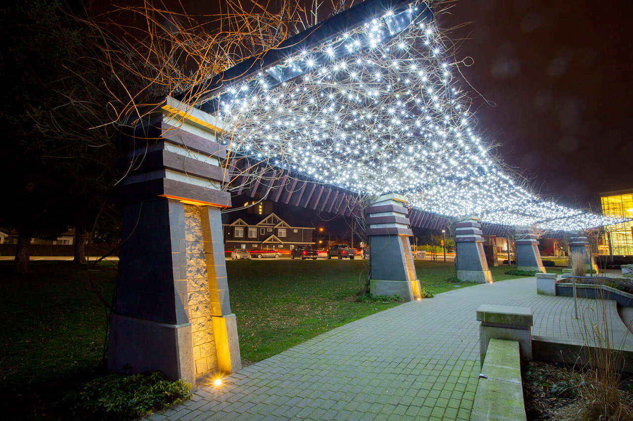 Pure White Canopy Commercial Christmas Lights