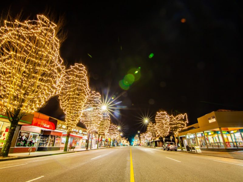 Festilight - Christmas - Commercial Light Install - Warm white String Lights - Tree Wraps