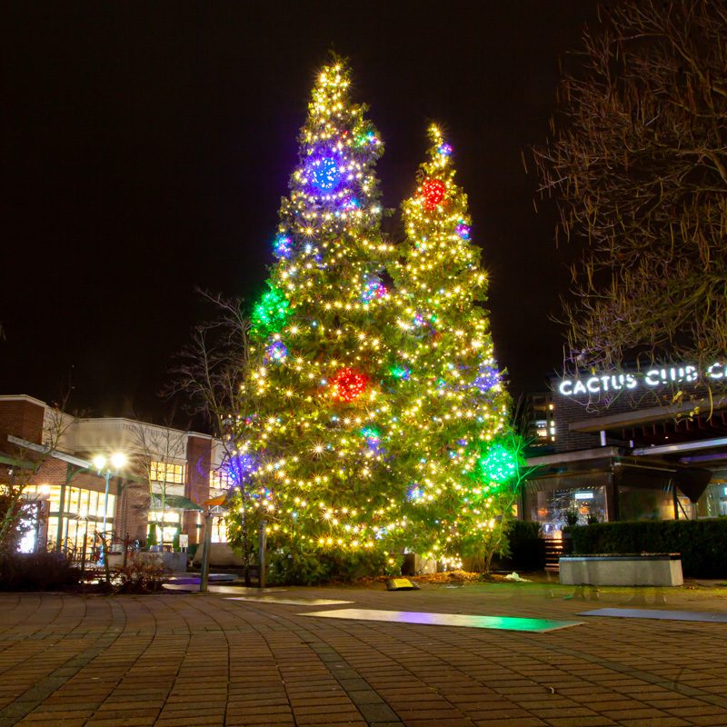 Festilight - Christmas Lights - Commercial Installation - Park Royal