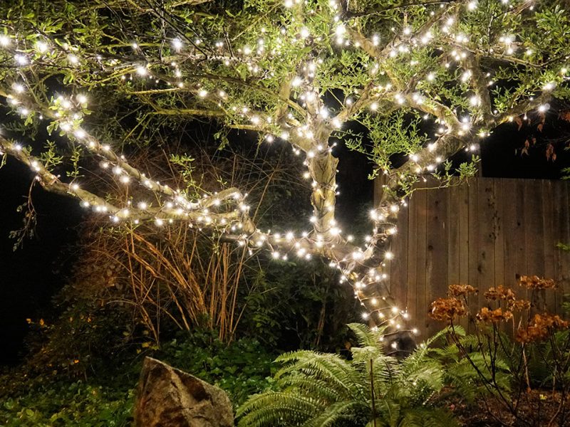 FestiLight - White String Lights - Residential Install - Christmas Decorations