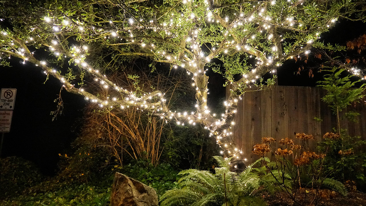 FestiLight - White String Lights - Residential Install - Christmas Decorations