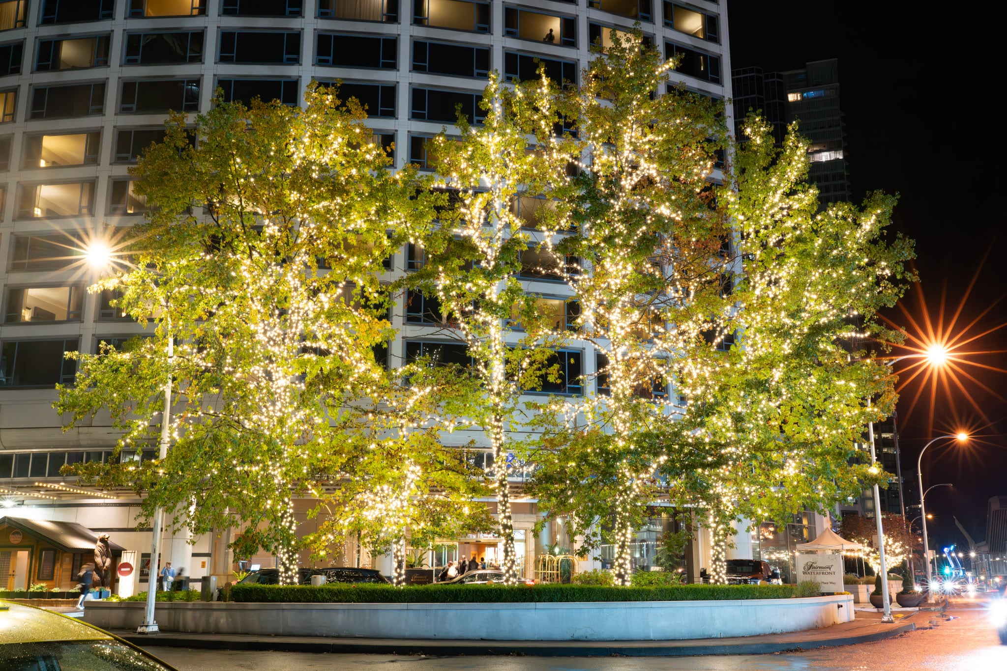 Trees outside a large commercial building are lit up with professional outdoor lighting.